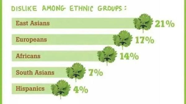 今天是“世界讨厌香菜日”,全球竟有这么多人觉得香菜不“香” 今天是“世界讨厌香菜日”,全球竟有这么多人觉得香菜不“香”