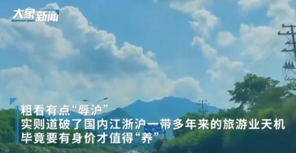 “养猪不如养上海人”刷屏！旅游业口号？真相来了！