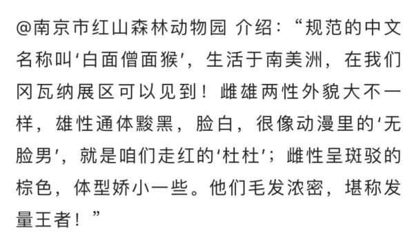 这猴,"长相炸裂"… 这猴,"长相炸裂"…