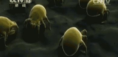 中疾控最新提醒！此病毒传染性强，正处于高发期！