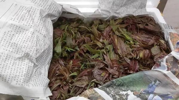 半袋话梅要400元？上海女生遇“话梅刺客”引发共鸣，还有一种菜卖到150元/斤……