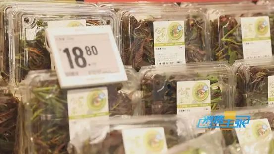 时鲜货来了！价钿不便宜，为了这一口春的味道，150元/斤，冲不冲？