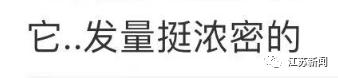 因长相"炸裂"火上热搜！网友：它在山海经第几页？