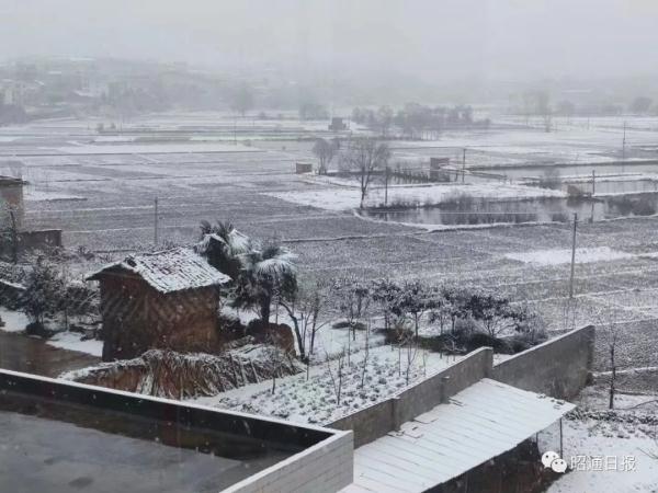 昆明下雪了！云南多地加入下雪“群聊”