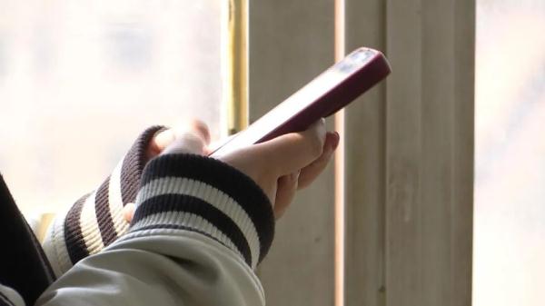 全是假的!别点、也别信! 全是假的!别点、也别信!