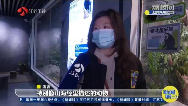 因长相"炸裂"火上热搜！网友：它在山海经第几页？