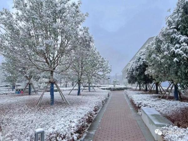 昆明下雪了！云南多地加入下雪“群聊”