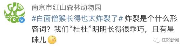 因长相"炸裂"火上热搜！网友：它在山海经第几页？