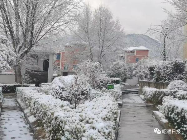 昆明下雪了！云南多地加入下雪“群聊”