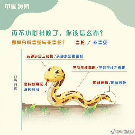 转需！意外被蛇咬伤怎么办？