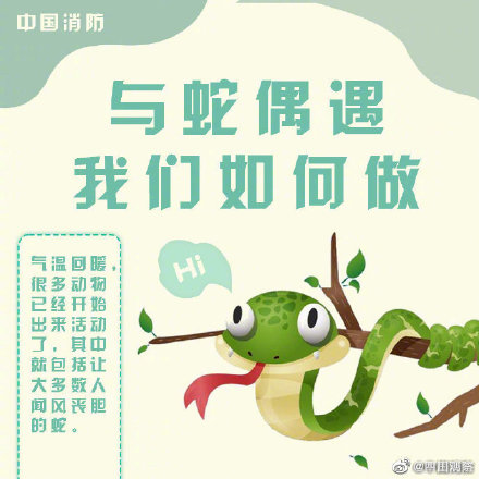 转需！意外被蛇咬伤怎么办？