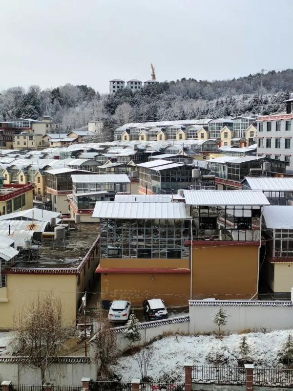 昆明下雪了！云南多地加入下雪“群聊”