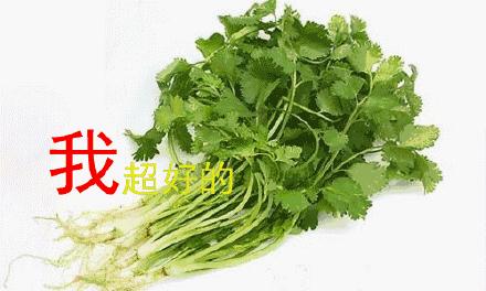 世界讨厌香菜日！原因找到了...你站哪个队？