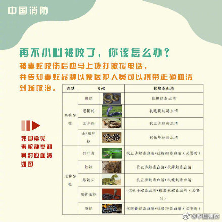 转需！意外被蛇咬伤怎么办？