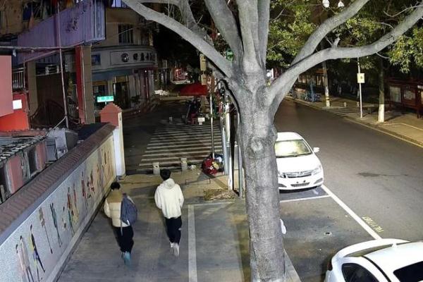 俩男子偷走五十余辆豪车后视镜 俩男子偷走五十余辆豪车后视镜