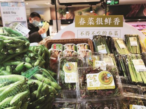 春菜 “锁”住春鲜 一步到“胃”