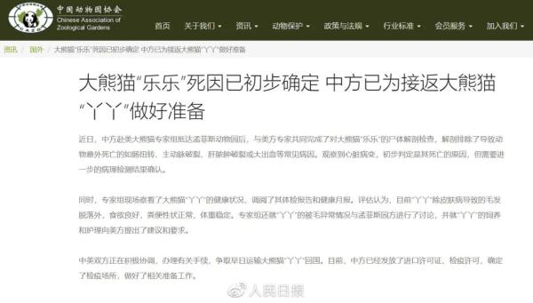 聚焦 | 全网都在关注的“丫丫”回国时间，最新回应！
