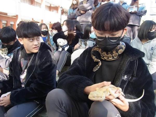 养猫or养狗？台湾民众这样选