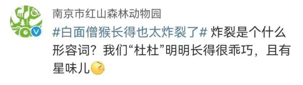 长相“炸裂”！这只猴火上热搜，动物园回应……