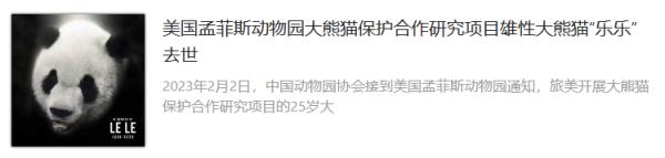 “丫丫”要回来了! “丫丫”要回来了!