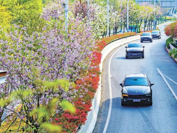 深圳“周末堵”回来了？官方提醒→