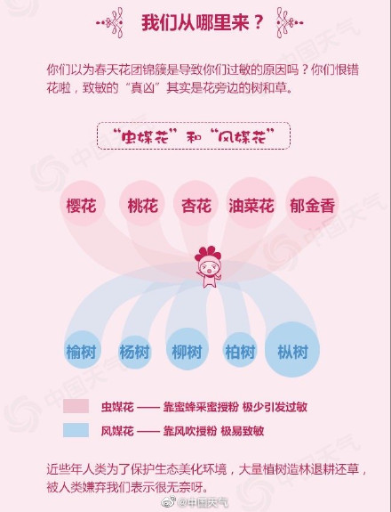 春天过敏也需警惕！花团锦簇是导致过敏的原因吗 你们可能恨错花了