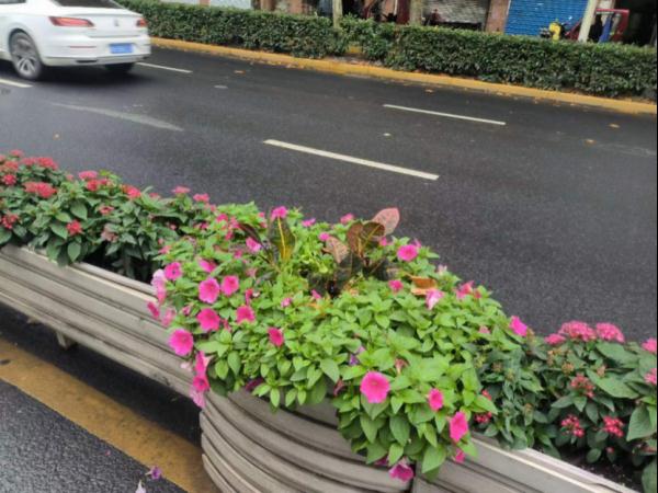 “不知不觉偷了3公里”!上海一男子偷隔离栏绿植,原价7万卖了1500…… “不知不觉偷了3公里”!上海一男子偷隔离栏绿植,原价7万卖了1500……