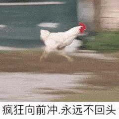 高速上一觉醒来，车在冒烟、无人驾驶！坐副驾的他，慌了也跳了！