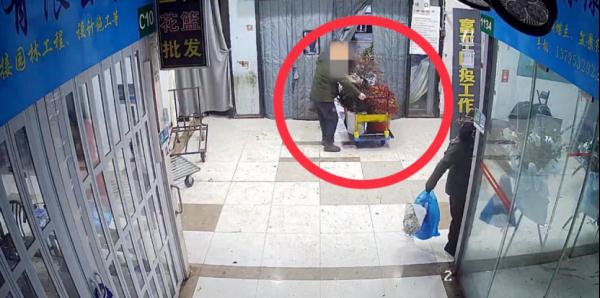 “不知不觉偷了3公里”!上海一男子偷隔离栏绿植,原价7万卖了1500…… “不知不觉偷了3公里”!上海一男子偷隔离栏绿植,原价7万卖了1500……