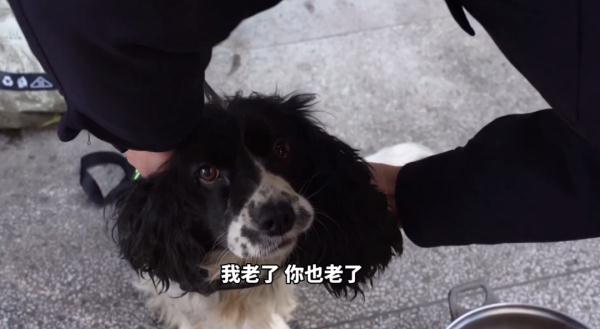 泪目！一警一犬坚守铁路小站12年，如今一起退休...