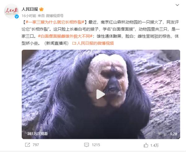 南京这只猴子火了！它叫“杜杜”