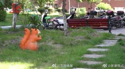 疑遭投毒,昆明一小区4只狗一夜暴毙!警方已介入调查 疑遭投毒,昆明一小区4只狗一夜暴毙!警方已介入调查