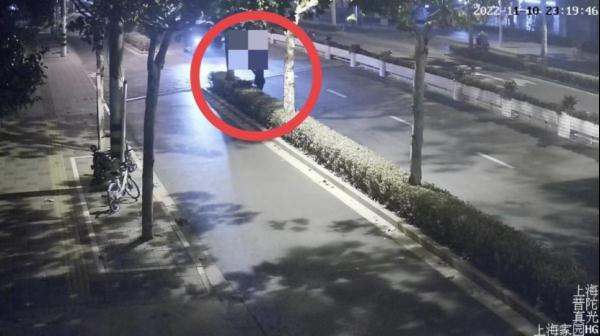 “不知不觉偷了3公里”!上海一男子偷隔离栏绿植,原价7万卖了1500…… “不知不觉偷了3公里”!上海一男子偷隔离栏绿植,原价7万卖了1500……