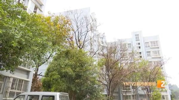 疑遭投毒,昆明一小区4只狗一夜暴毙!警方已介入调查 疑遭投毒,昆明一小区4只狗一夜暴毙!警方已介入调查