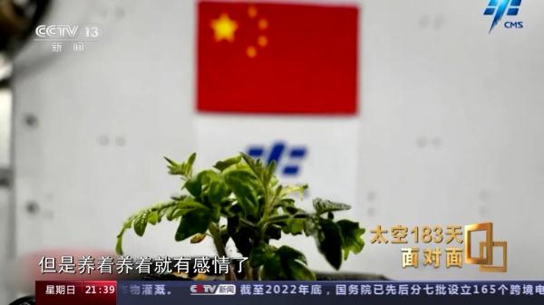 “最忙太空出差三人组”在轨期间忙了些啥？来听他们的分享