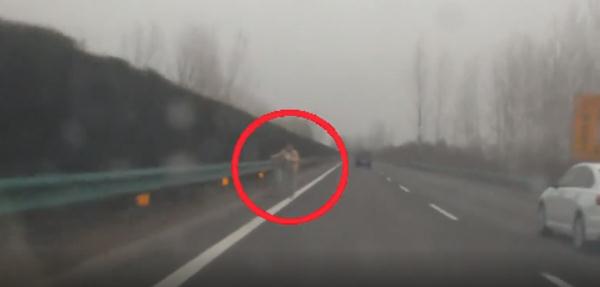 女子骑着自行车在高速上逆行？原来她是想……