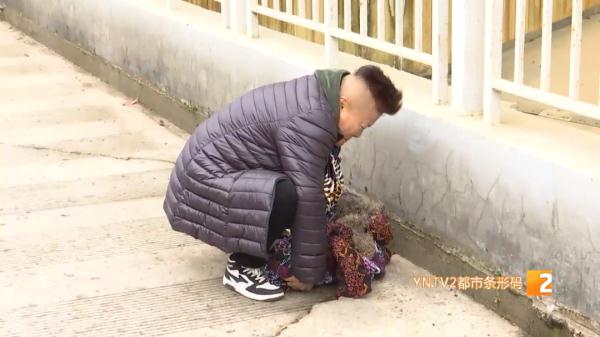 疑遭投毒,昆明一小区4只狗一夜暴毙!警方已介入调查 疑遭投毒,昆明一小区4只狗一夜暴毙!警方已介入调查