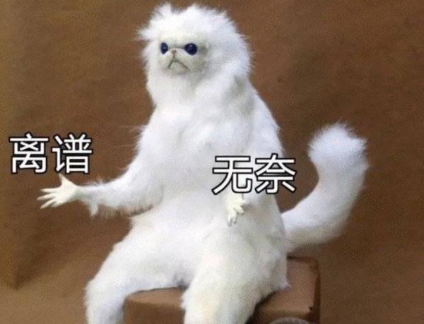高速上一觉醒来，车在冒烟、无人驾驶！坐副驾的他，慌了也跳了！
