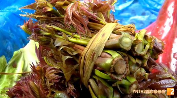 200元/公斤!应季香椿上市,尝鲜别买成“四季椿” 200元/公斤!应季香椿上市,尝鲜别买成“四季椿”