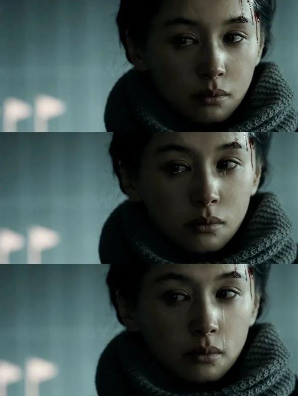 王子文丨走出曲筱绡,走进叶文洁 王子文丨走出曲筱绡,走进叶文洁