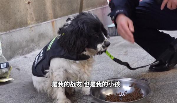 泪目！一警一犬坚守铁路小站12年，如今一起退休...