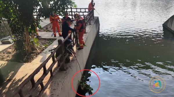 突发！福州琴亭湖一女子落水！