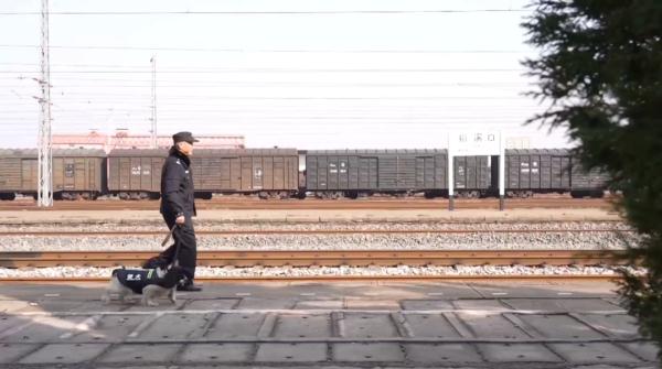 泪目！一警一犬坚守铁路小站12年，如今一起退休...