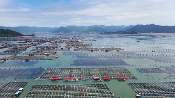 海参也要“南迁”过冬？这个气候优势用得妙！