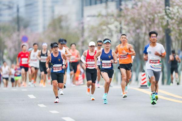 记者手记：“关门兔”、收容车和老朋友