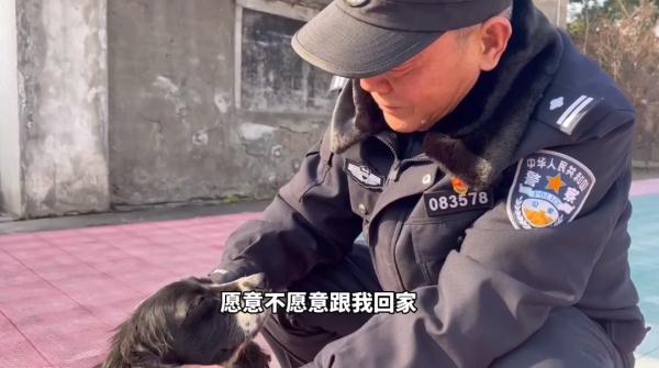 泪目！一警一犬坚守铁路小站12年，如今一起退休...