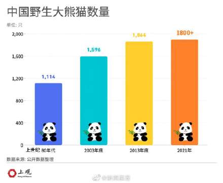 海外大熊猫都需要向中国租借