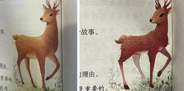 小学生给语文课本配图“挑错”,新教材真的改了 小学生给语文课本配图“挑错”,新教材真的改了
