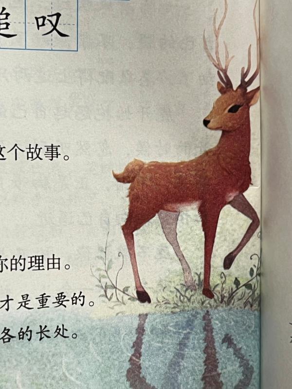 课本配图出错？小学生的这个质疑，出版社回应了