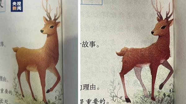 课本配图出错？小学生的这个质疑，出版社回应了